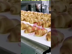 Linea di produzione di pane croissant, pane di hamburger/pane tostato, pane di muffa.