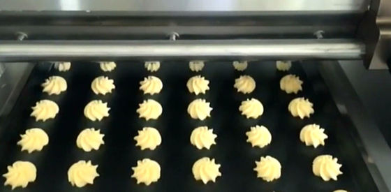 Stainless Steel 2M Width In Line Cookie Depositor