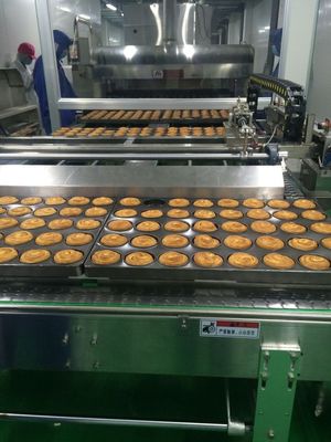 PLC Control Automatic 1000kg/H Bread Production Line For Sweet Bun